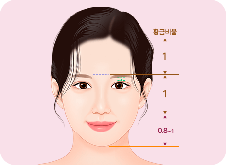 눈과 눈썹의 거리와 이마 높이 이미지