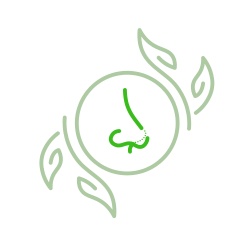 2019년 ~ 2022년 수술 건수